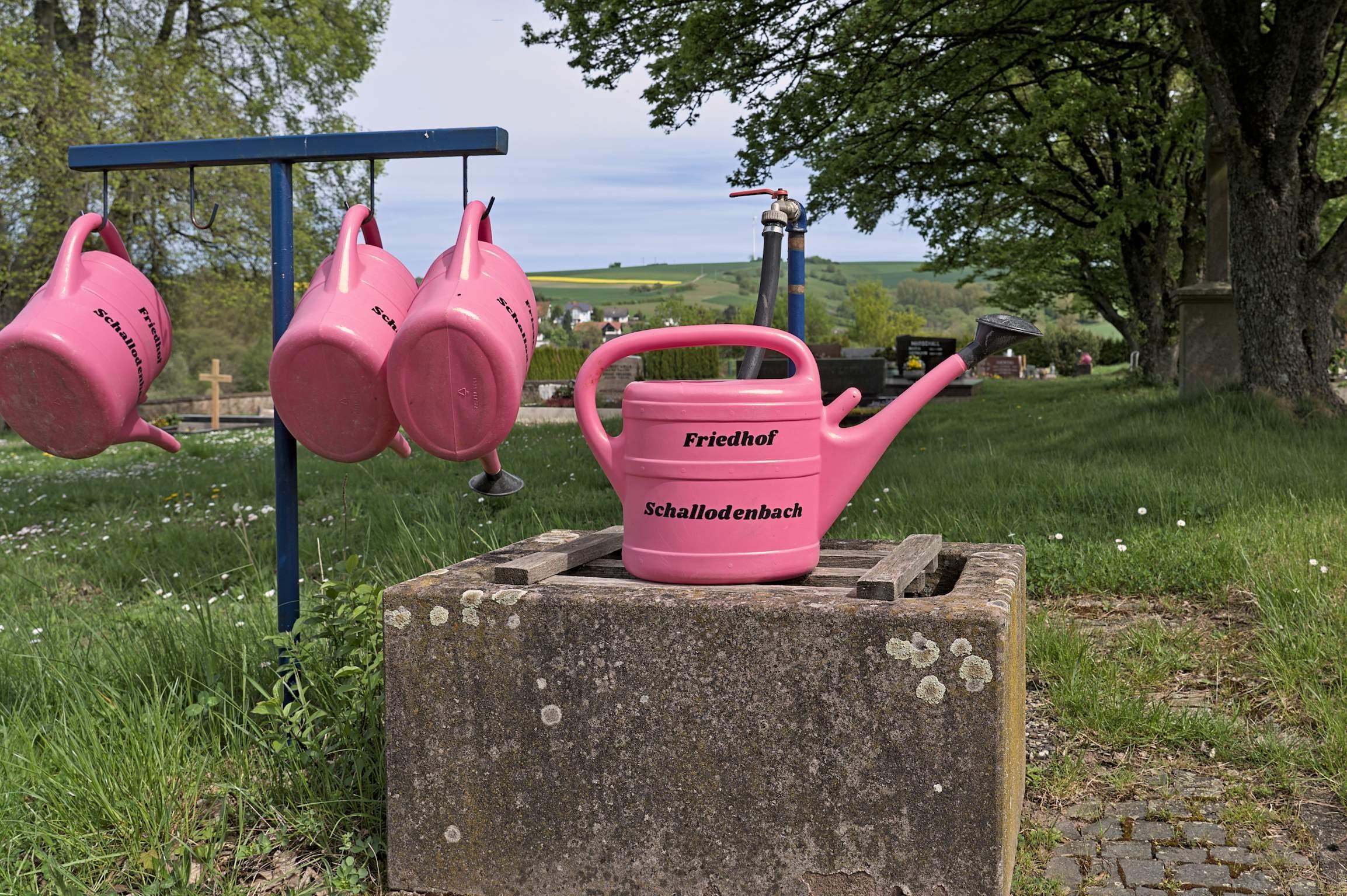 Das Bild zeigt eine Szene auf dem Friedhof in Schallodenbach. Im Vordergrund steht eine neon-pinkfarbene Gießkanne auf einem grauen, steinernen Trog. Die Gießkanne trägt die Aufschrift "Friedhof Schallodenbach". 
Links im Bild hängen zwei weitere pinkfarbene Gießkannen an einem blauen Metallgestell. Im Hintergrund erstreckt sich eine grüne Rasenfläche mit einigen Grabsteinen und großen Bäumen rechts. In der Ferne sind sanfte grüne Hügel und Felder unter einem hellen Himmel zu sehen.  Das Bild zeigt eine Szene auf dem Friedhof in Schallodenbach. Im Vordergrund steht eine neon-pinkfarbene Gießkanne auf einem grauen, steinernen Trog. Die Gießkanne trägt die Aufschrift "Friedhof Schallodenbach". 
Links im Bild hängen zwei weitere pinkfarbene Gießkannen an einem blauen Metallgestell. Im Hintergrund erstreckt sich eine grüne Rasenfläche mit einigen Grabsteinen und großen Bäumen rechts. In der Ferne sind sanfte grüne Hügel und Felder unter einem hellen Himmel zu sehen.