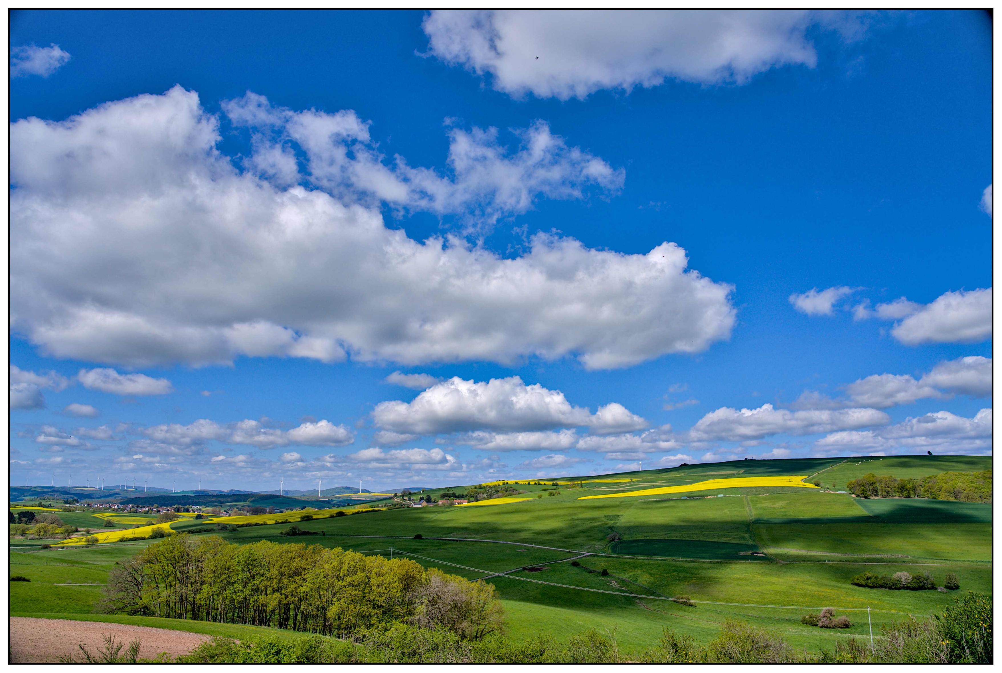 Weite westpfälzer Hügellandschaft mit grünen Feldern und gelben Rapsflächen unter einem blauen Himmel mit großen weißen Wolken.