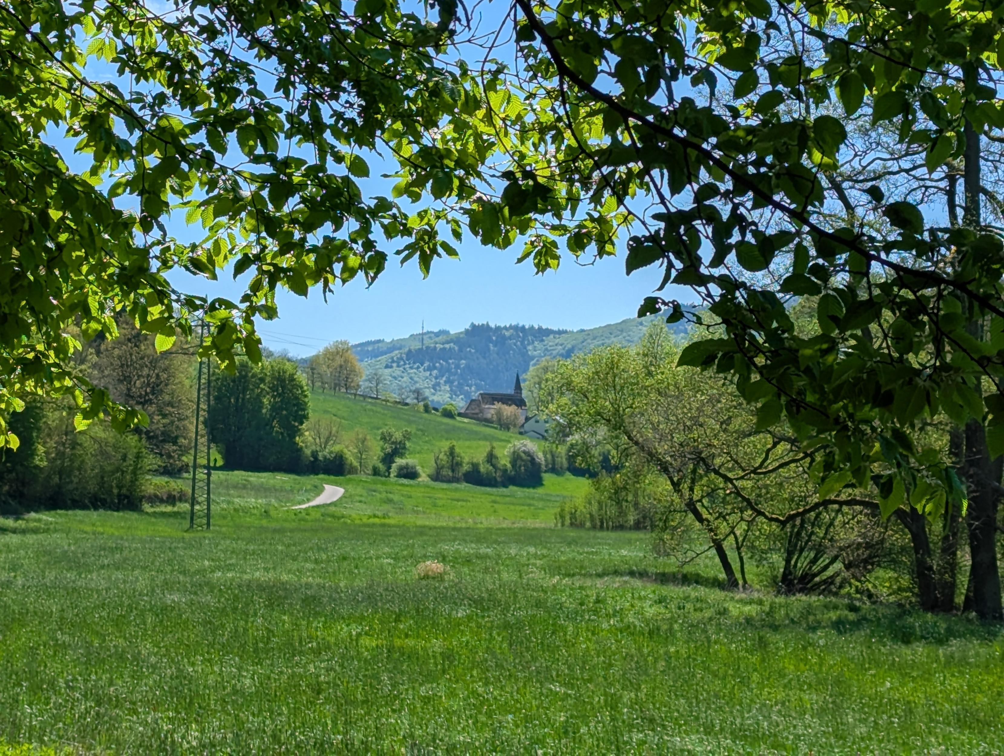 Eine sommerliche Landschaft mit einer weiten grünen Wiese im Vordergrund, die von tiefhängenden Ästen eines Baumes eingerahmt wird. Im Hintergrund ist ein sanfter Hügel mit einer kleinen Kapelle oder Kirche sowie einem Fernsehturm auf dem Gipfel zu sehen.